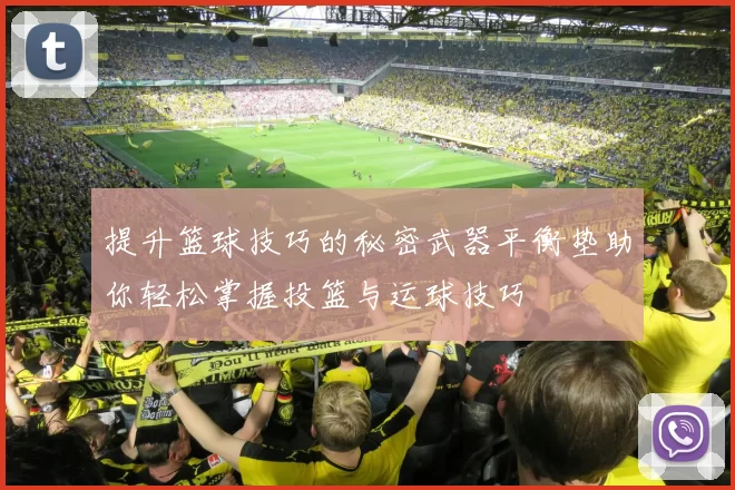 提升篮球技巧的秘密武器平衡垫助你轻松掌握投篮与运球技巧