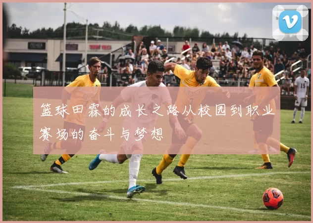 篮球田霖的成长之路从校园到职业赛场的奋斗与梦想
