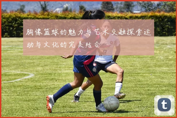 胸像篮球的魅力与艺术交融探索运动与文化的完美结合