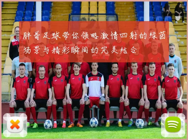 胖哥足球带你领略激情四射的绿茵场景与精彩瞬间的完美结合