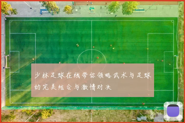 少林足球在线带你领略武术与足球的完美结合与激情对决
